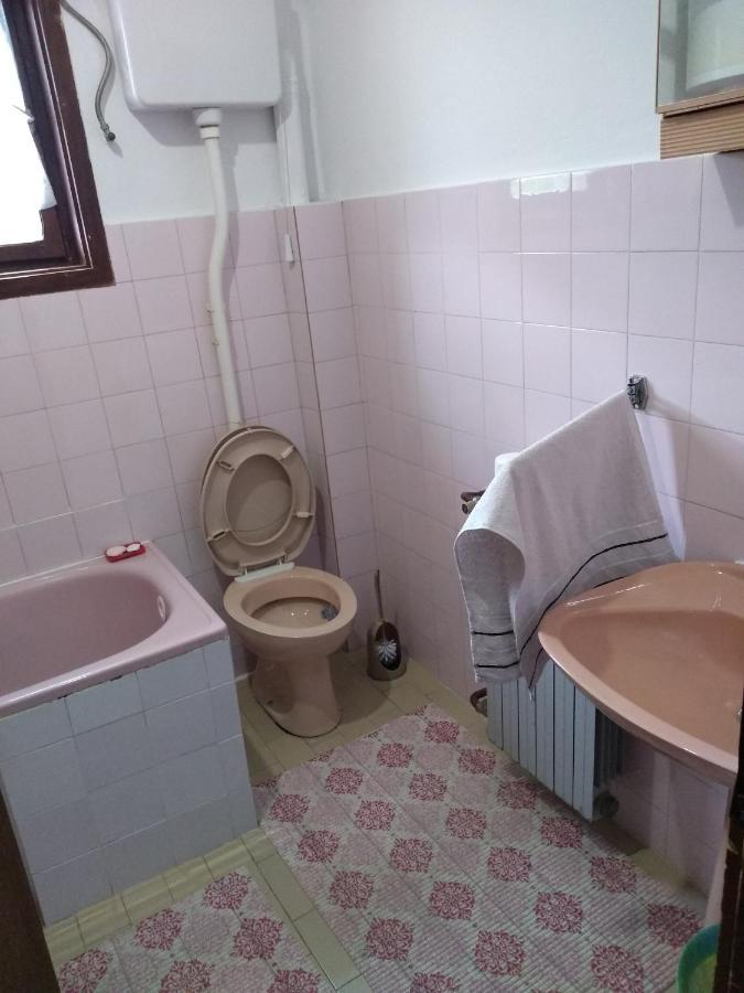 Ferienwohnung Mala Tara Bajina Basta Exterior foto