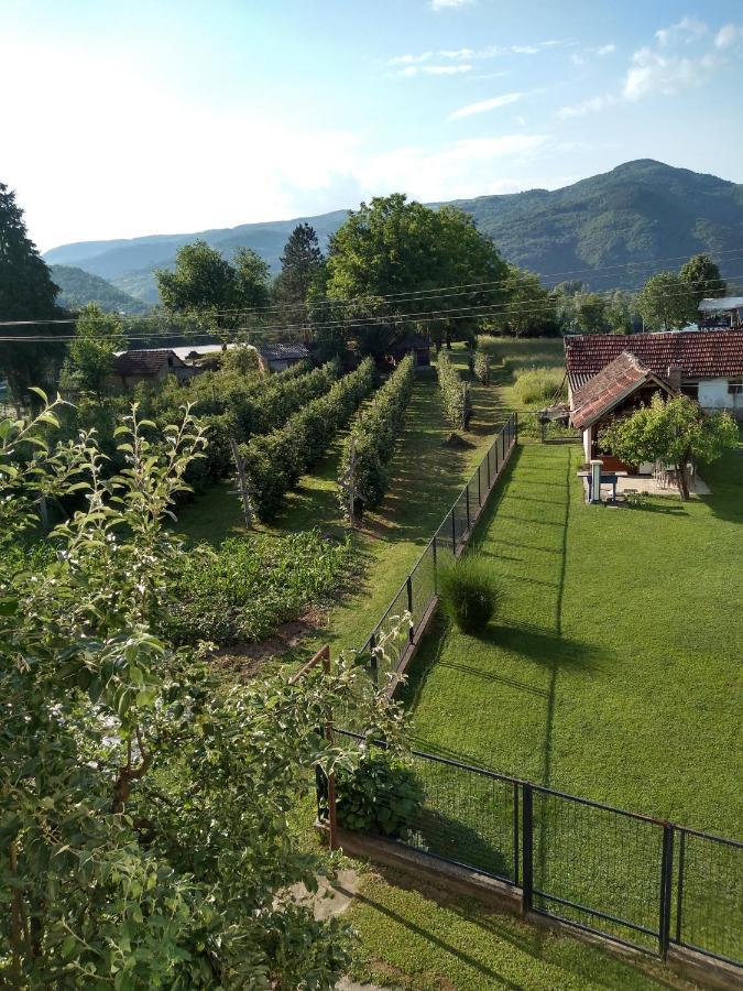 Ferienwohnung Mala Tara Bajina Basta Exterior foto