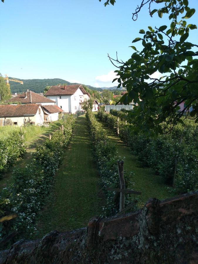 Ferienwohnung Mala Tara Bajina Basta Exterior foto