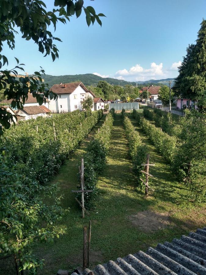 Ferienwohnung Mala Tara Bajina Basta Exterior foto